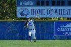 Baseball vs Babson  Wheaton College Baseball vs Babson during Championship game of the NEWMAC Championship hosted by Wheaton. - (Photo by Keith Nordstrom) : Wheaton, baseball, NEWMAC